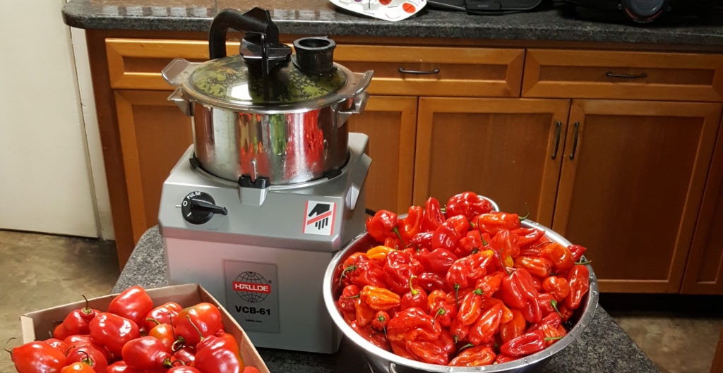 Hallde mixer chopper machine and peppers